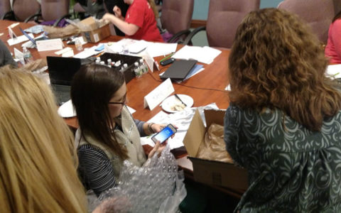 Teacher Training at WMHT